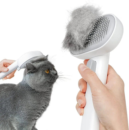 🐾 Cat Brush